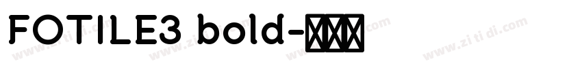 FOTILE3 bold字体转换